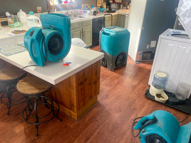 Best Ceiling water damage repair  in San Rlos, CA