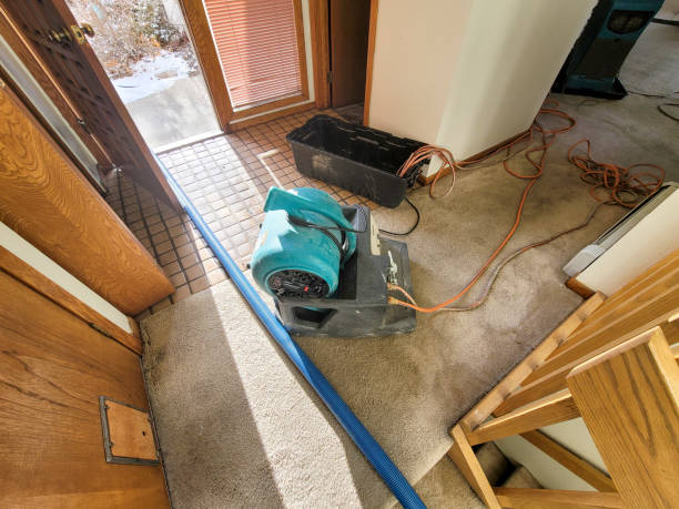 Best Water damage restoration near me  in San Rlos, CA