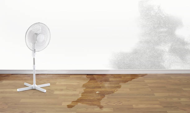 Best Water damage restoration services  in San Rlos, CA
