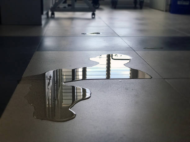 Best Water damage contractors near me  in San Rlos, CA