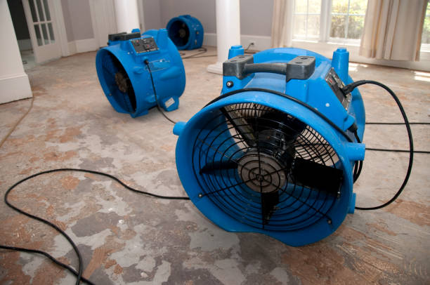 Best Flooded house restoration  in San Rlos, CA