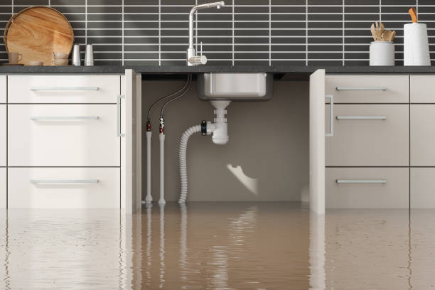 Best Basement water damage restoration  in San Rlos, CA