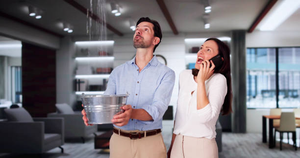 Best Water damage contractors near me  in San Rlos, CA